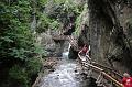 AUS04062009 (24)